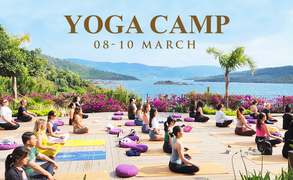 8-10 mars 2024 Camp de yoga